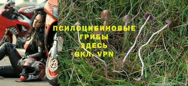 ешки Володарск